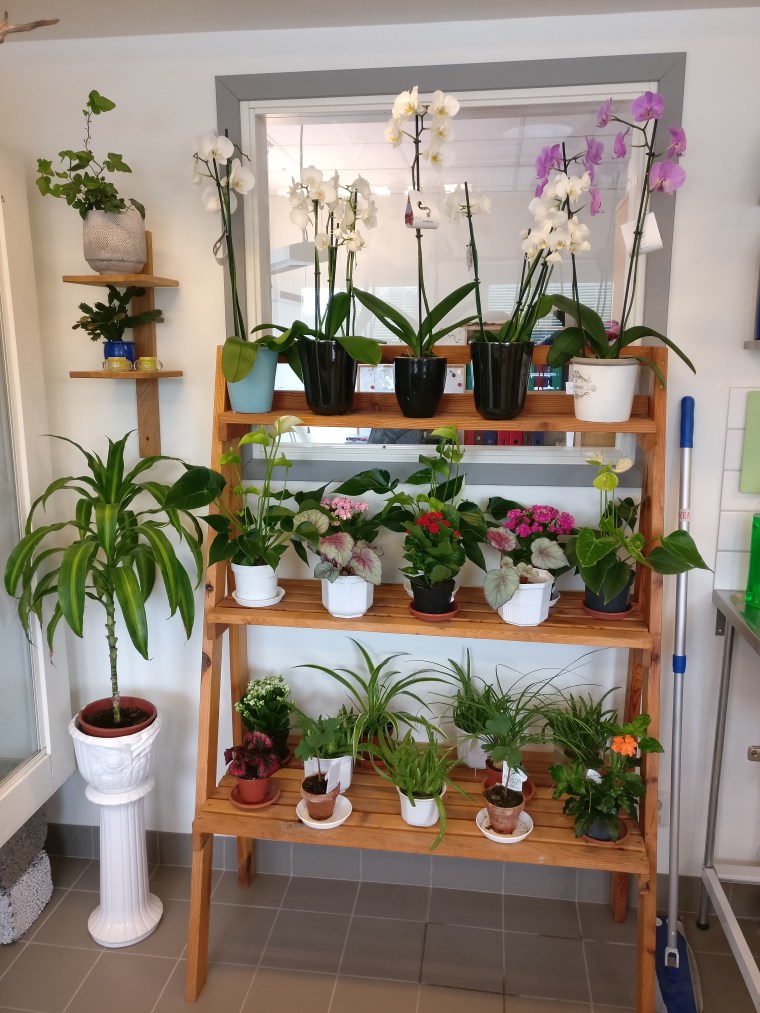 2018-09-04 11.45.29-1