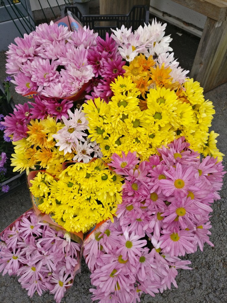 2018-09-10 11.56.52-1