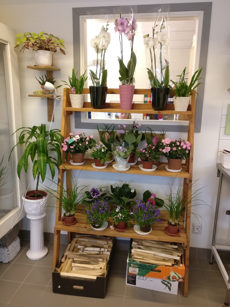 2019-01-10 09.56.56-1