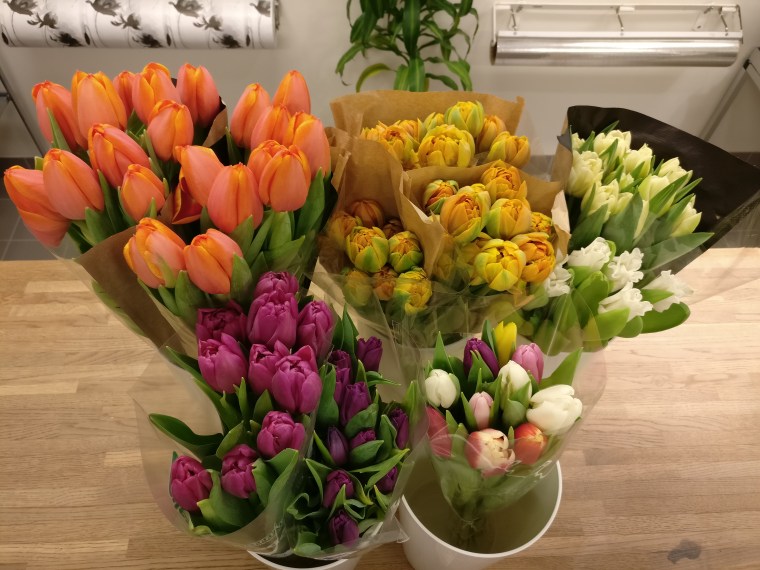 2019-01-11 07.50.02-1