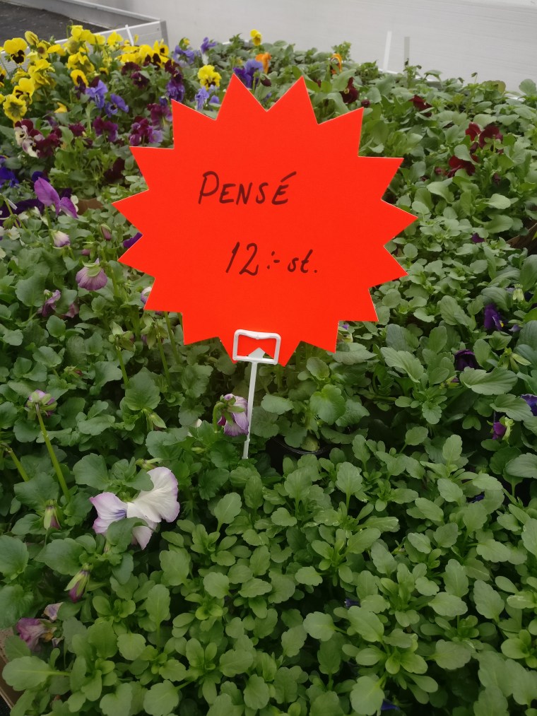 2019-03-19 10.59.07-1