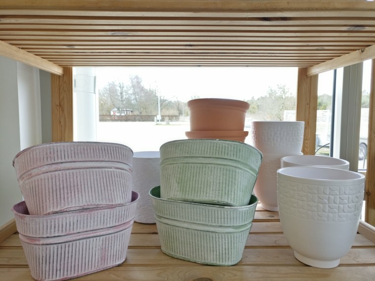 2019-03-26 09.30.33-1