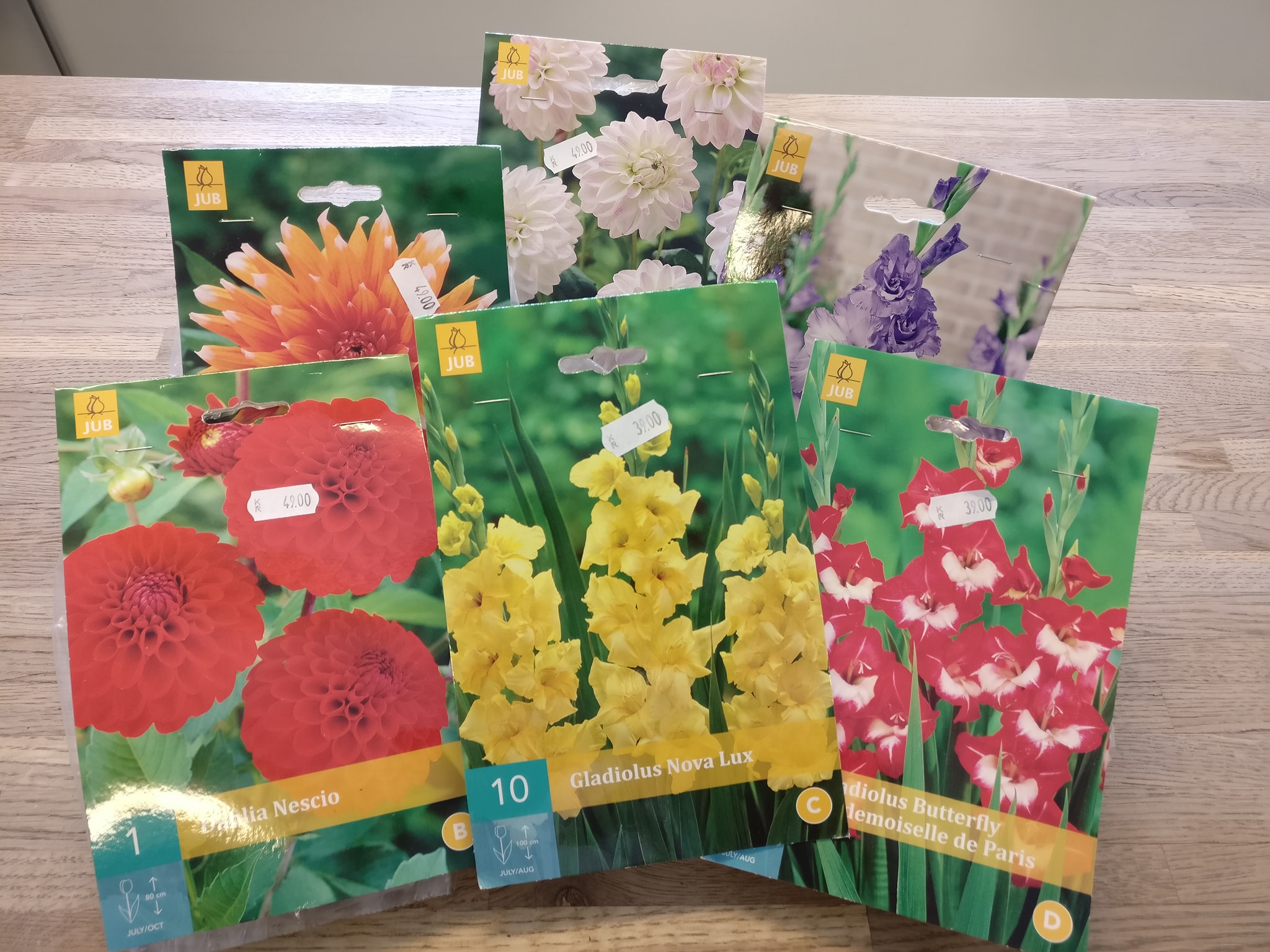 59621563_2602370429833743_254174815957549056_o