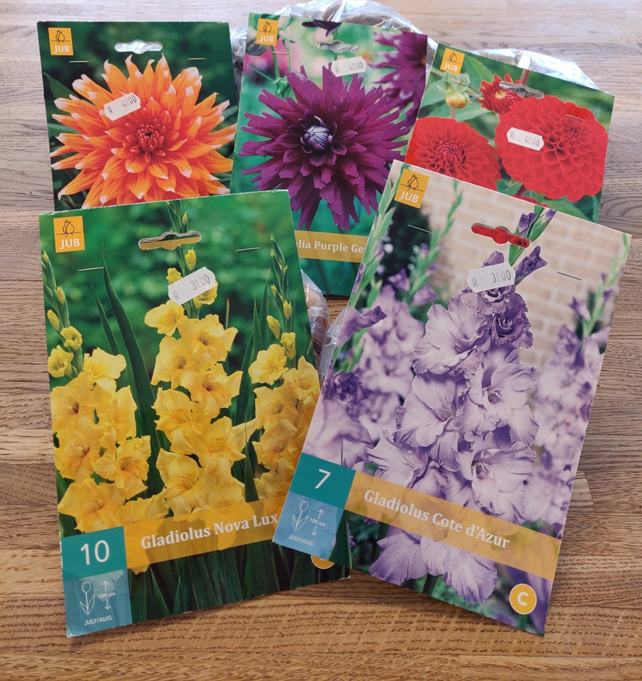 60916723_2652695748134544_4345195302144180224_n