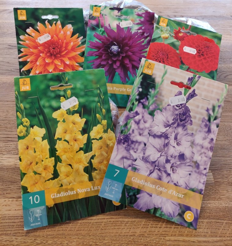 60916723_2652695748134544_4345195302144180224_n