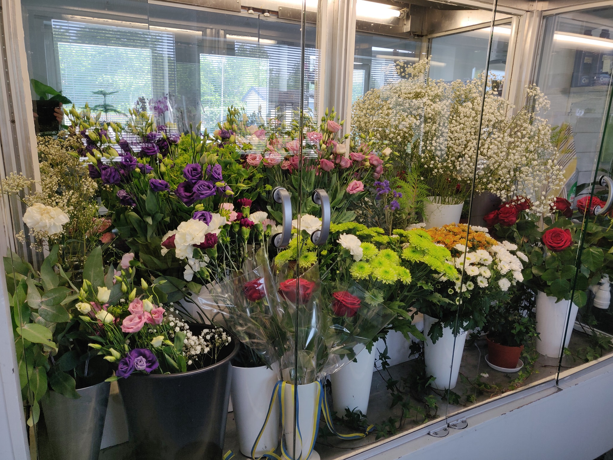 61928677_2687127664691352_3702743674417840128_o