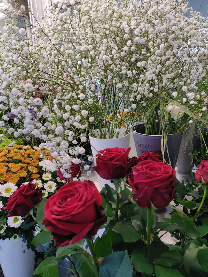 61977743_2687127834691335_7803960069367791616_n