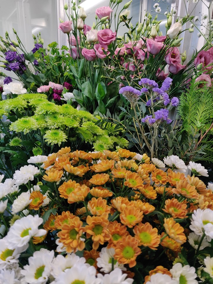 62202254_2687127964691322_7386604074147250176_n