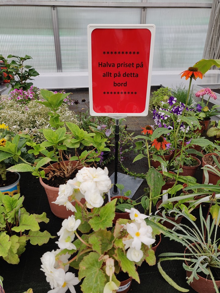 64776141_2784246711646113_4212494002542346240_n