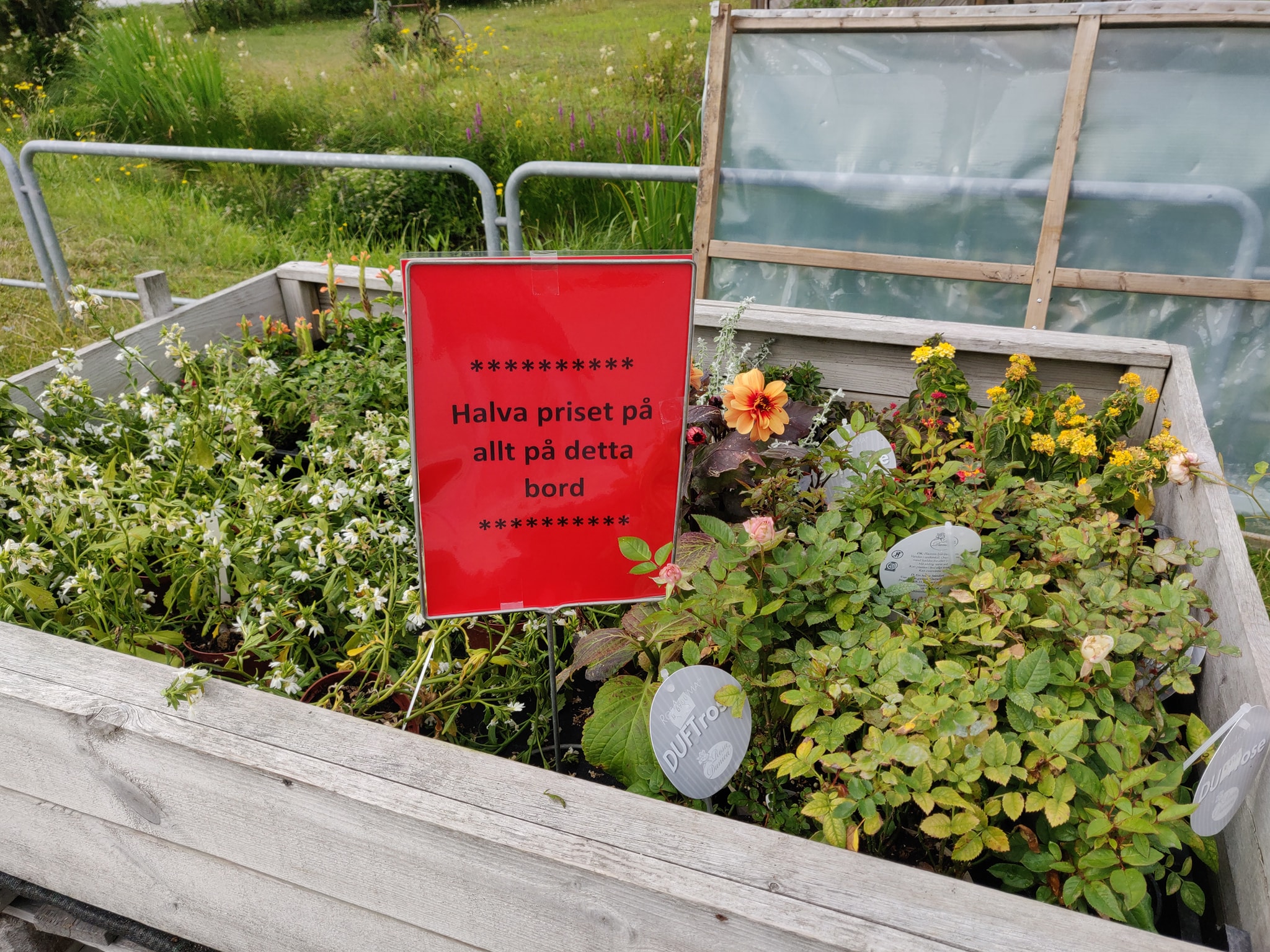 66616252_2784246954979422_4821833979332132864_o