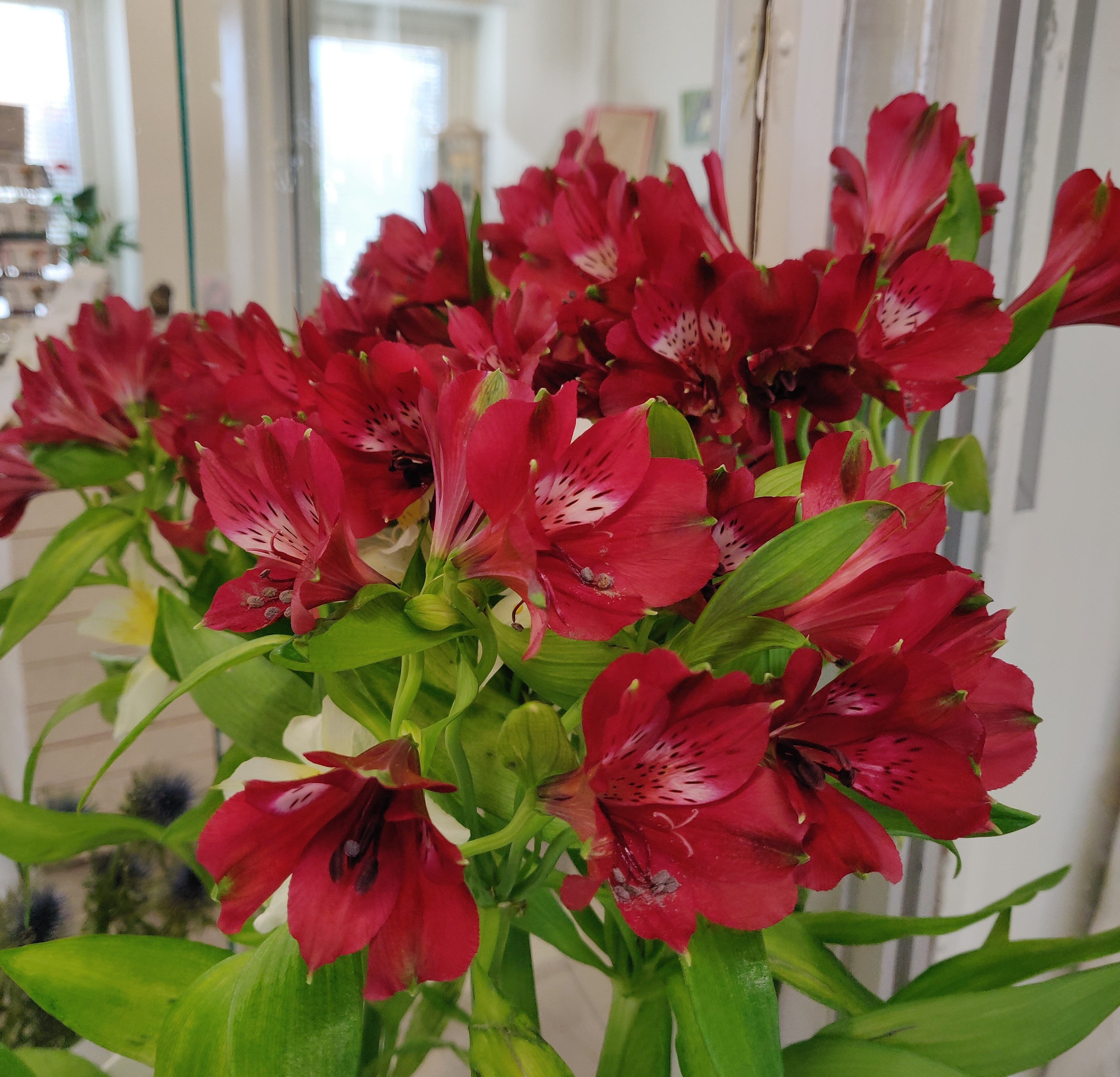 IMG_20191023_104100_677