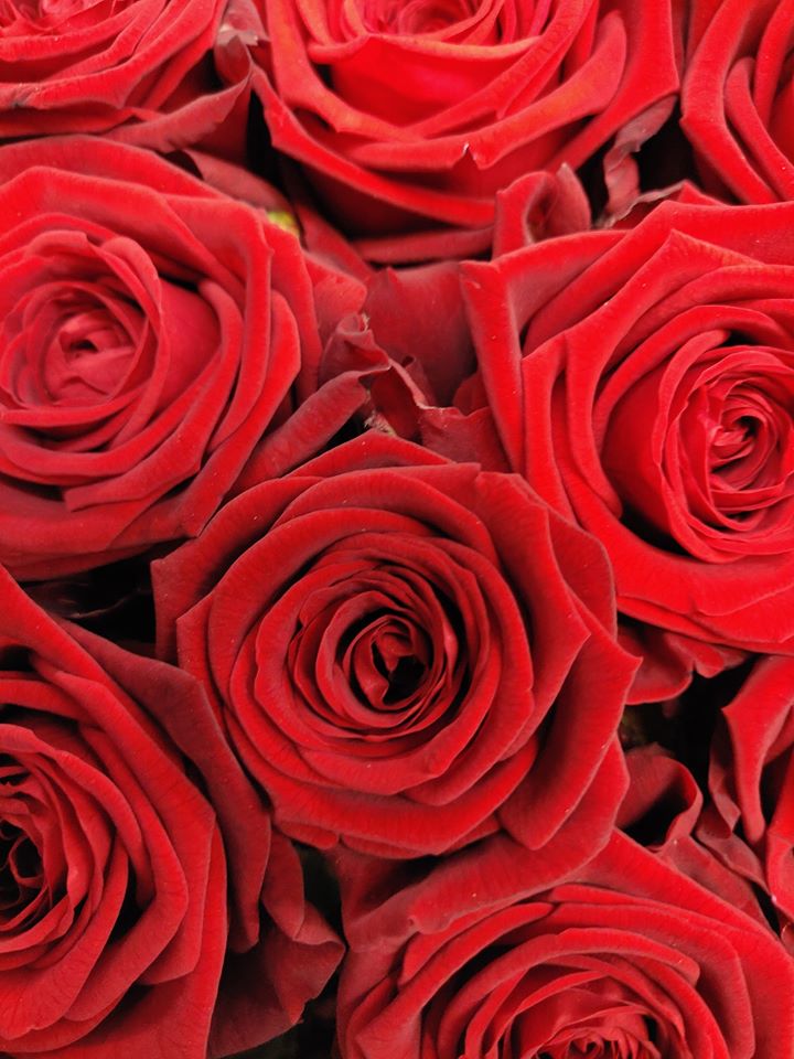 82003605_3305381836199262_6351794187360272384_o